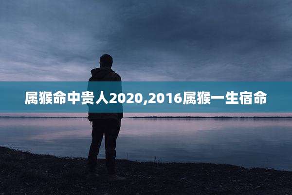 属猴命中贵人2020,2016属猴一生宿命
