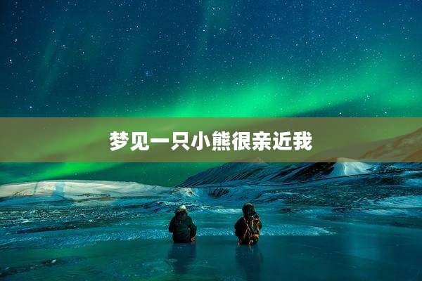 梦见一只小熊很亲近我