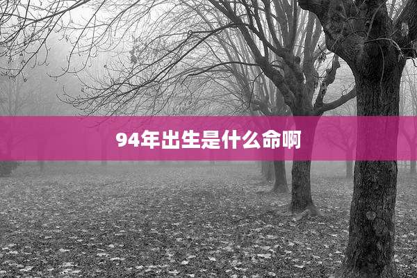 94年出生是什么命啊