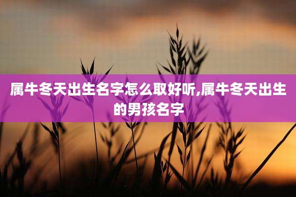 属牛冬天出生名字怎么取好听,属牛冬天出生的男孩名字