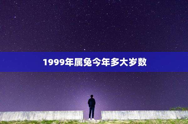 1999年属兔今年多大岁数