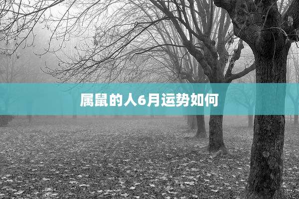属鼠的人6月运势如何