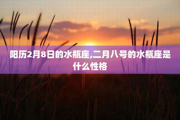 阳历2月8日的水瓶座,二月八号的水瓶座是什么性格