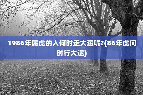 1986年属虎的人何时走大运呢?(86年虎何时行大运)