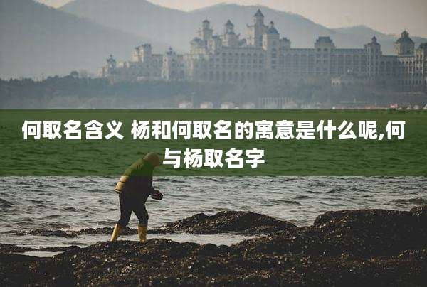 何取名含义 杨和何取名的寓意是什么呢,何与杨取名字