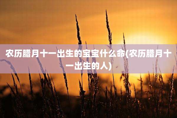农历腊月十一出生的宝宝什么命(农历腊月十一出生的人)
