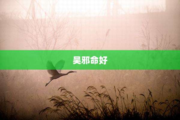 吴邪命好