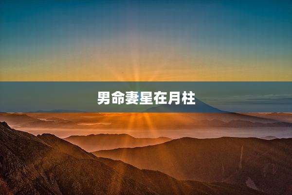 男命妻星在月柱