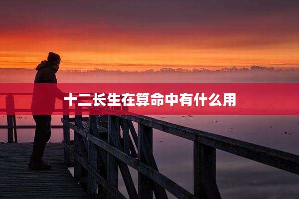 十二长生在算命中有什么用