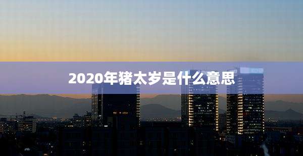 2020年猪太岁是什么意思