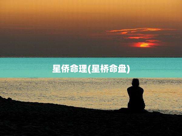 星侨命理(星桥命盘)