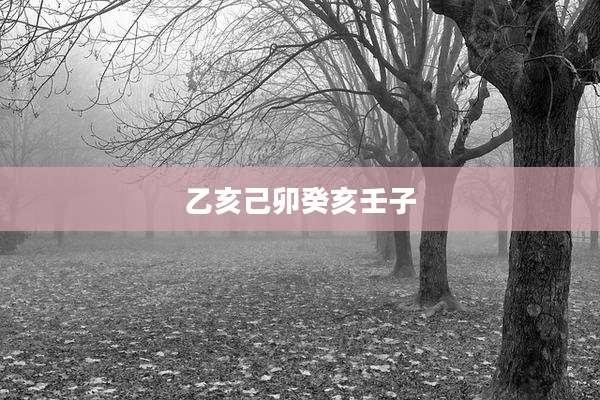 乙亥己卯癸亥壬子