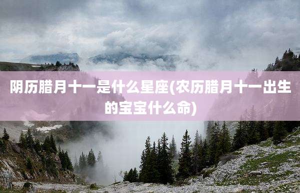 阴历腊月十一是什么星座(农历腊月十一出生的宝宝什么命)