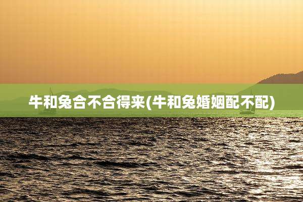 牛和兔合不合得来(牛和兔婚姻配不配)