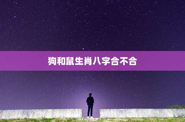 狗和鼠生肖八字合不合