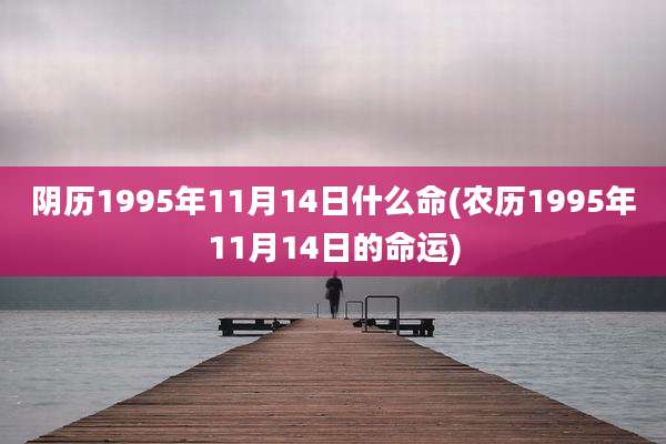 阴历1995年11月14日什么命(农历1995年11月14日的命运)