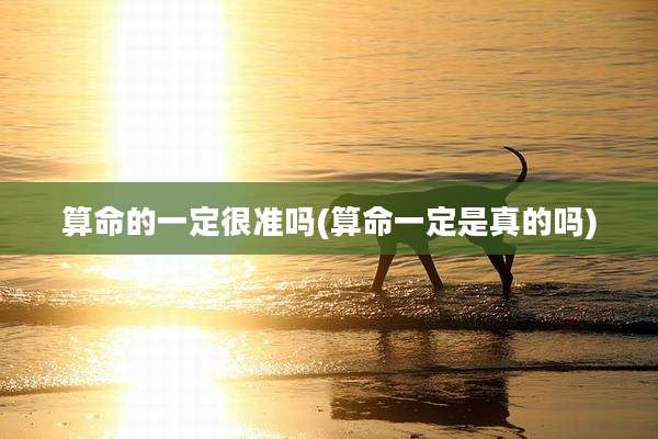算命的一定很准吗(算命一定是真的吗)