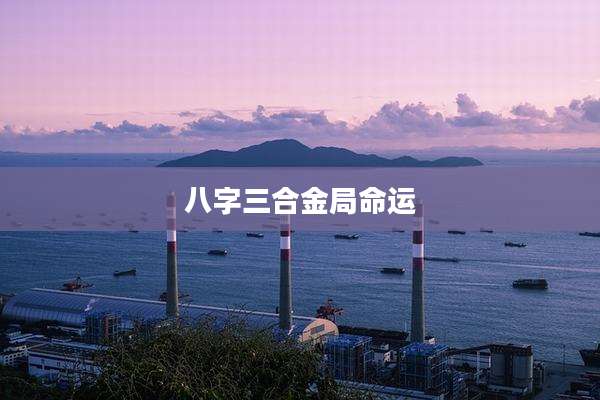 八字三合金局命运