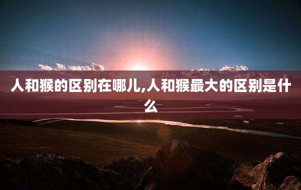 人和猴的区别在哪儿,人和猴最大的区别是什么