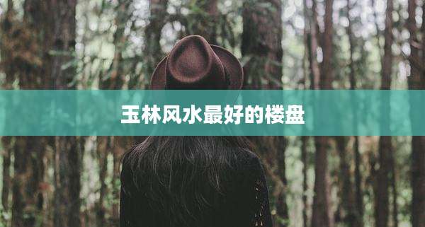 玉林风水最好的楼盘