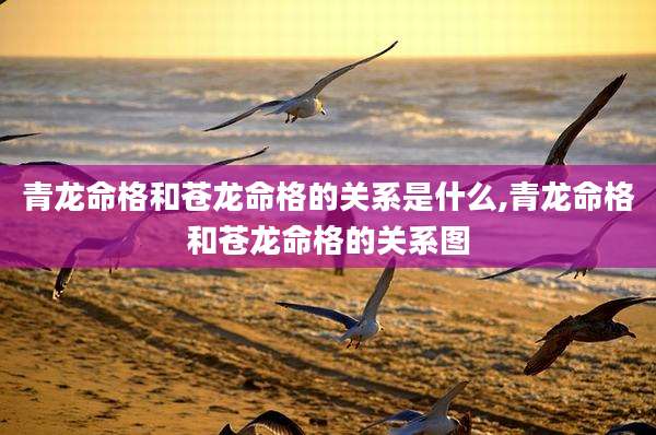 青龙命格和苍龙命格的关系是什么,青龙命格和苍龙命格的关系图