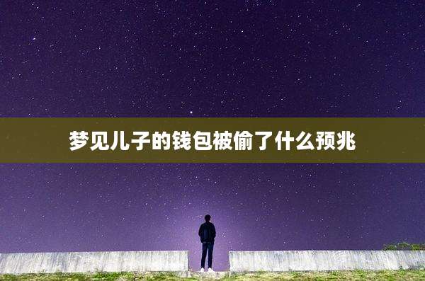 梦见儿子的钱包被偷了什么预兆