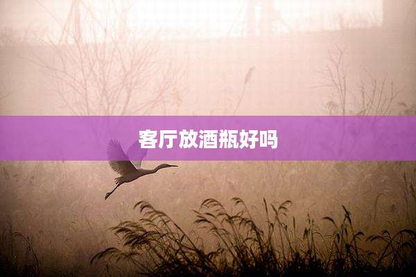 客厅放酒瓶好吗