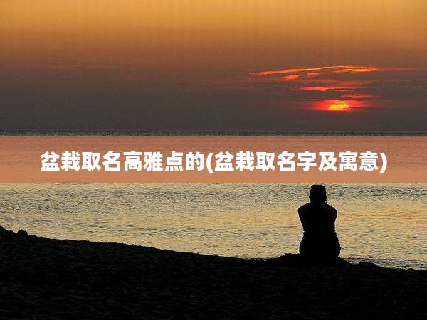 盆栽取名高雅点的(盆栽取名字及寓意)