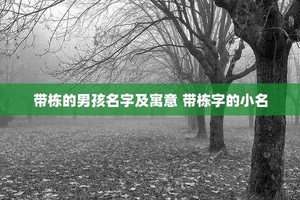 带栋的男孩名字及寓意 带栋字的小名