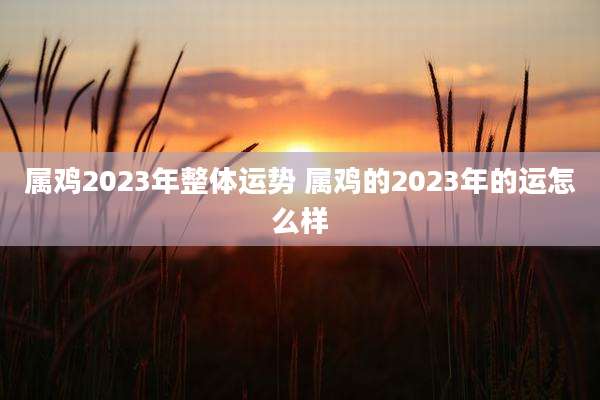 属鸡2023年整体运势 属鸡的2023年的运怎么样