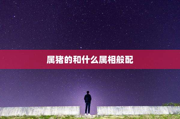 属猪的和什么属相般配