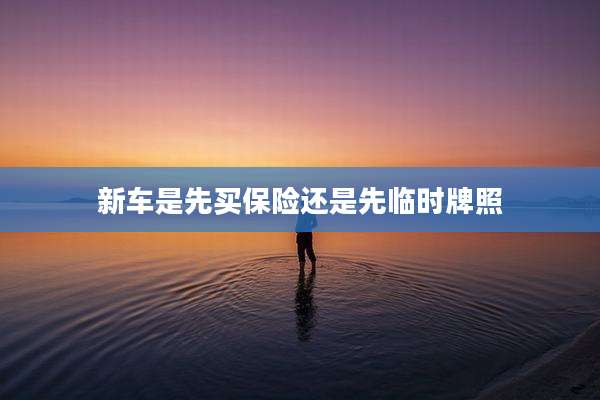 新车是先买保险还是先临时牌照