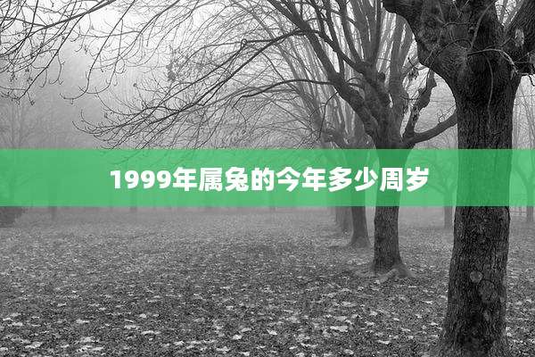 1999年属兔的今年多少周岁
