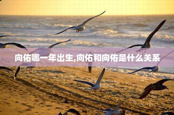 向佑哪一年出生,向佑和向佑是什么关系