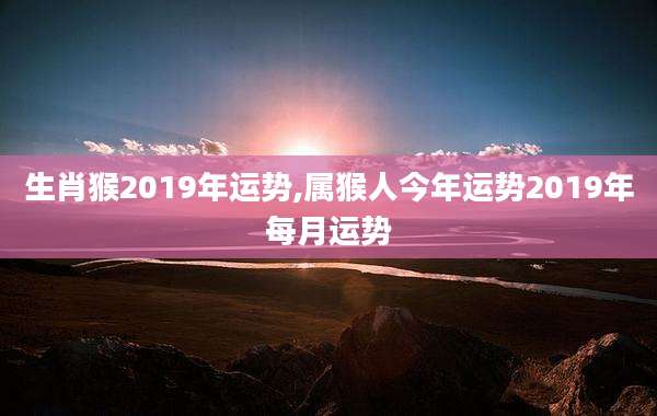 生肖猴2019年运势,属猴人今年运势2019年每月运势