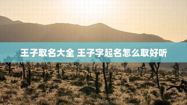 王子取名大全 王子字起名怎么取好听
