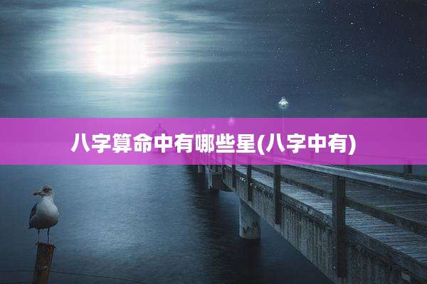 八字算命中有哪些星(八字中有)