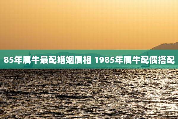 85年属牛最配婚姻属相 1985年属牛配偶搭配