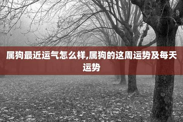 属狗最近运气怎么样,属狗的这周运势及每天运势