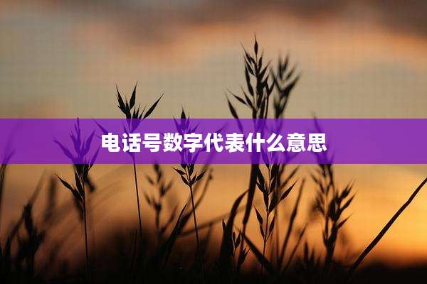 电话号数字代表什么意思