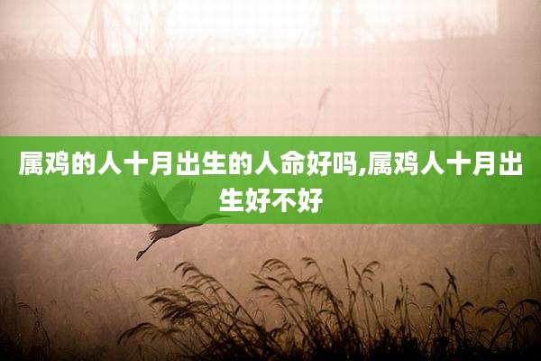 属鸡的人十月出生的人命好吗,属鸡人十月出生好不好