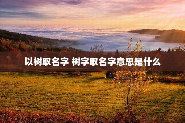 以树取名字 树字取名字意思是什么