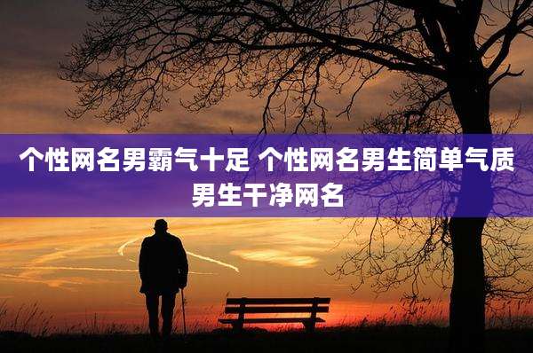 个性网名男霸气十足 个性网名男生简单气质男生干净网名