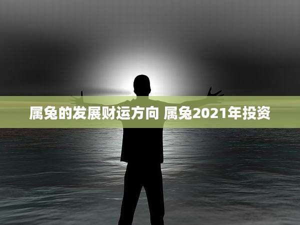 属兔的发展财运方向 属兔2021年投资