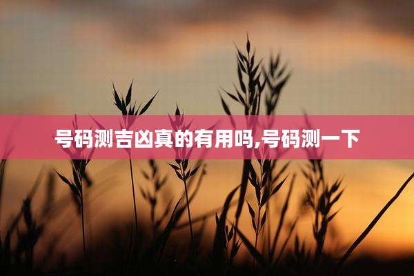 号码测吉凶真的有用吗,号码测一下