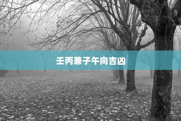 壬丙兼子午向吉凶