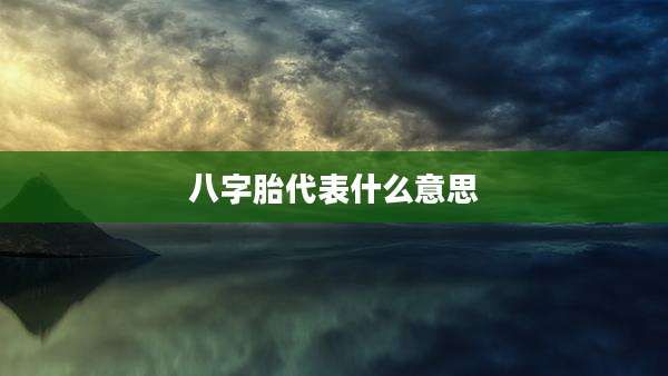八字胎代表什么意思