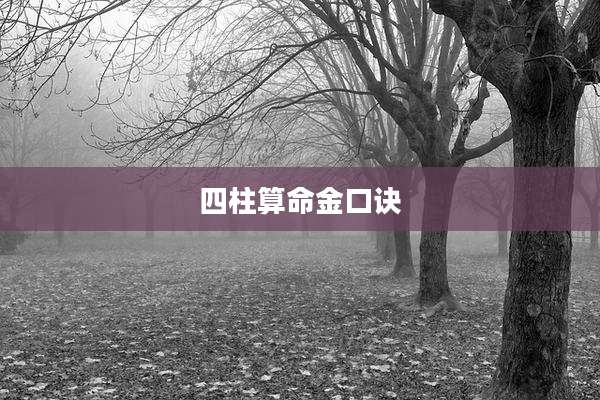 四柱算命金口诀