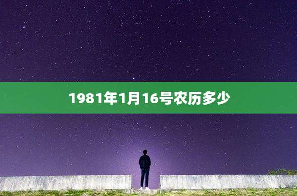 1981年1月16号农历多少