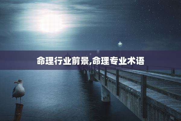命理行业前景,命理专业术语